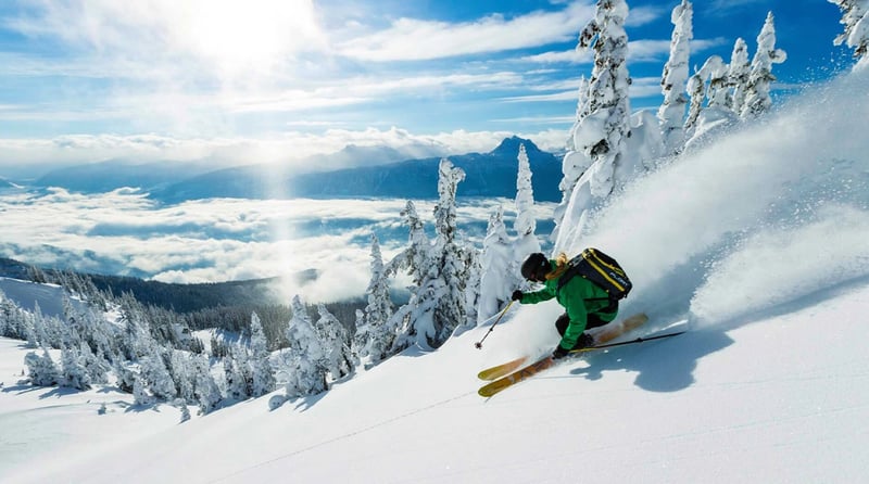 Skier riding fresh powder through alpine trees above a cloud layer on a clear day